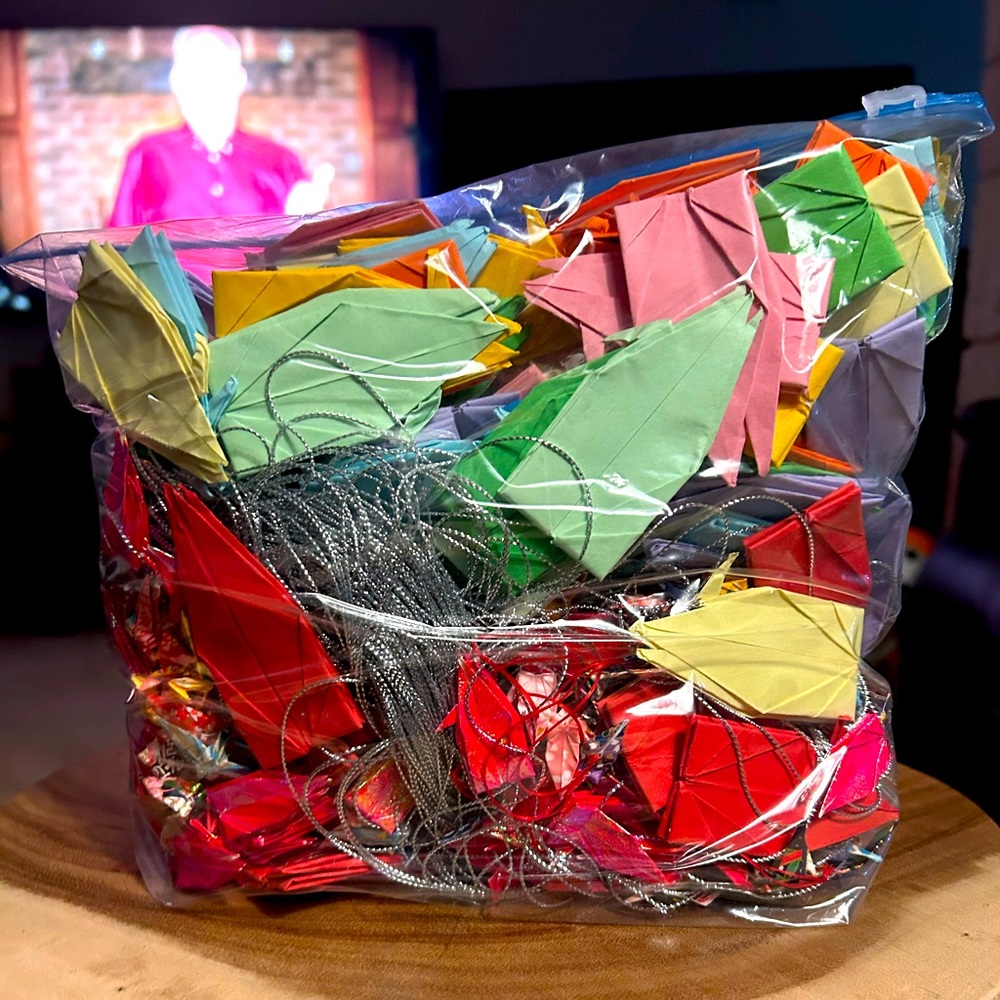 Gallon size zip lock bag full of origami starts and swans